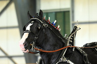 AJB_3473