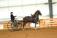 AJB_3529