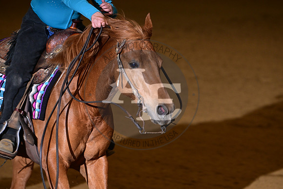 AJB_4404