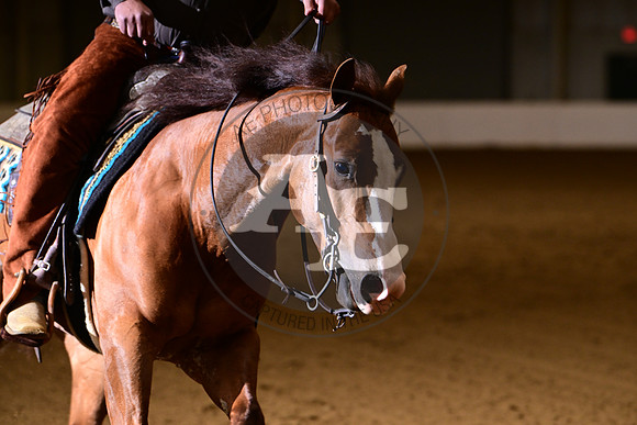 AJB_3928