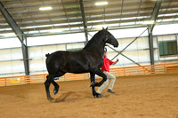 AJB_3182