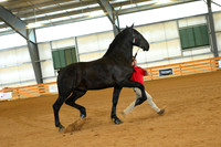AJB_3184