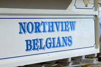 Northview Belgians