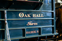 Oak Hall Belgians