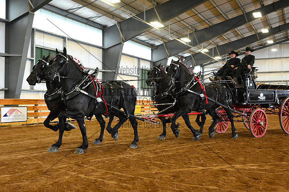 AJB_4116
