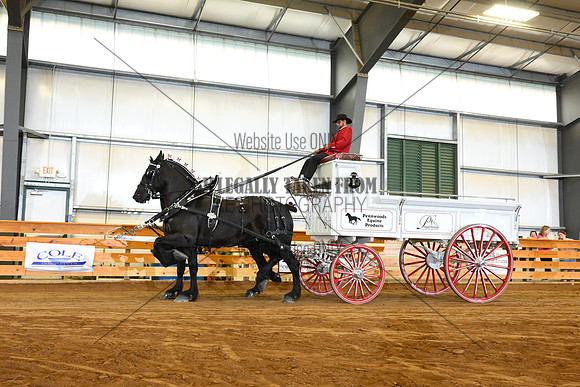 AJB_4329