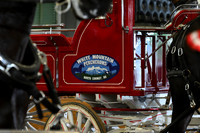 White Mountain Percherons