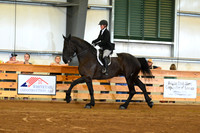 AJB_4028
