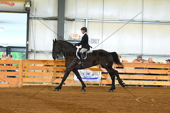 AJB_4029