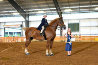 Open English Riding