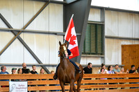 AJB_3818