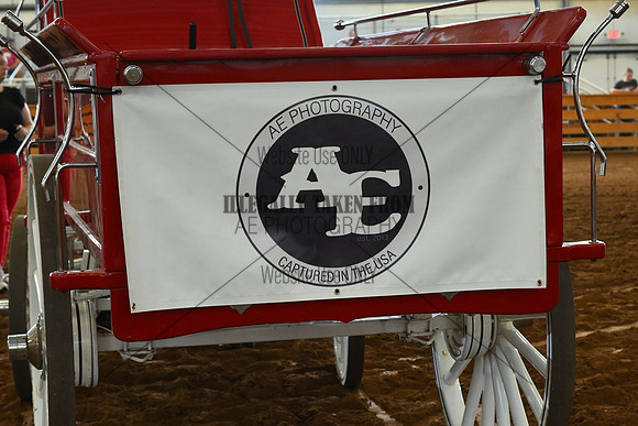 AJB_4666