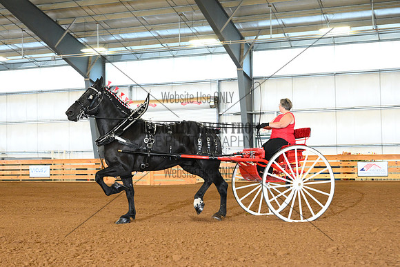AJB_4398
