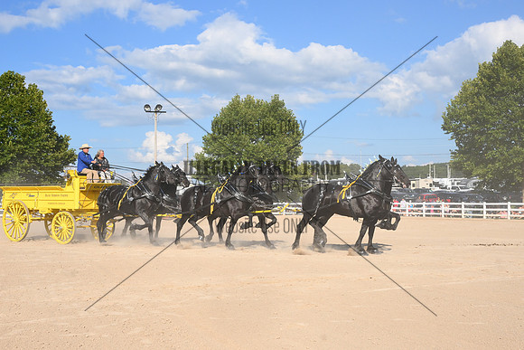 AJB_4834