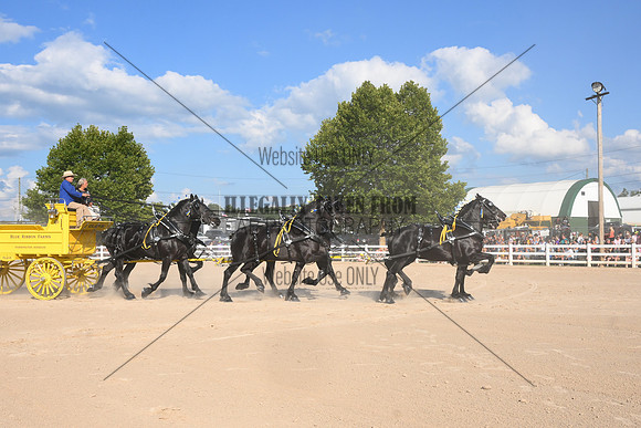 AJB_4835