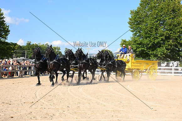 AJB_4851
