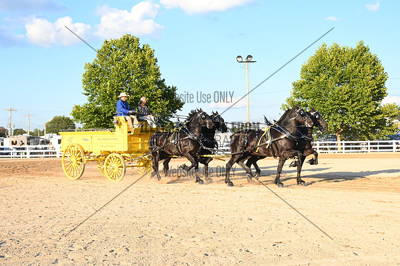 AJB_5176