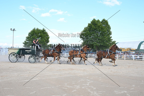 AJB_4935