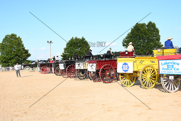 AJB_5029