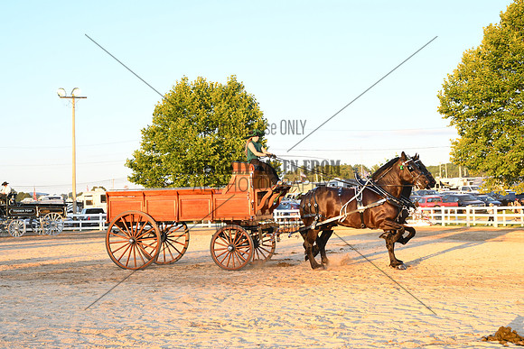 AJB_5336