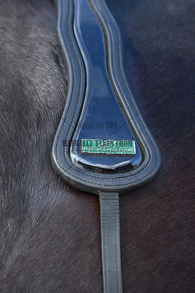 AJB_4956