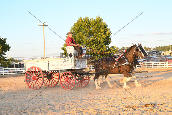 AJB_5328