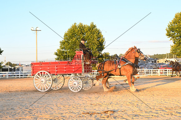 AJB_5331