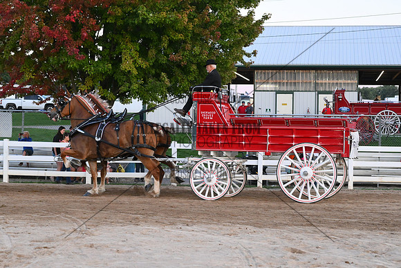 AJB_5407