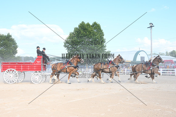 AJB_4881