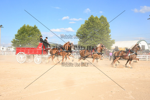 AJB_4994