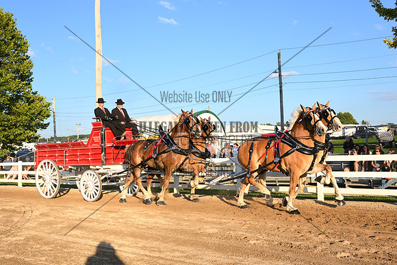 AJB_5195