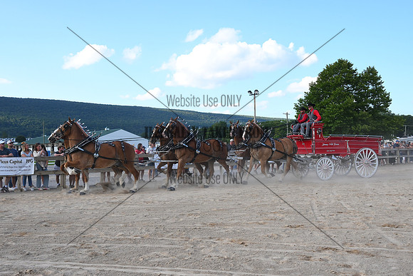 AJB_5018