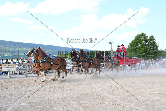 AJB_5048