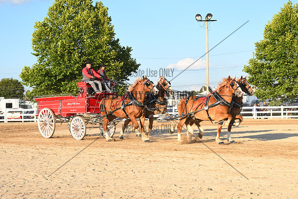AJB_5178