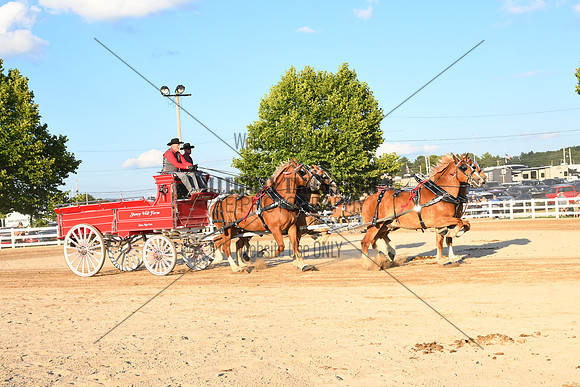 AJB_5179