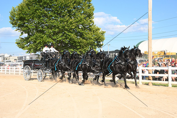 AJB_4895