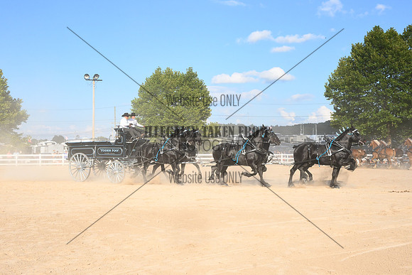 AJB_4990
