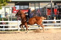 AJB_5075