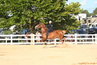 AJB_5077