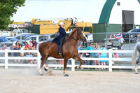 AJB_5082