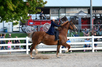 AJB_5084