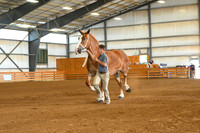 AJB_5631