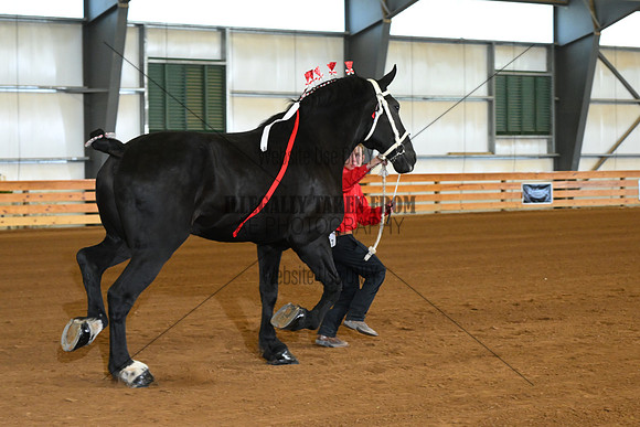 AJB_5671