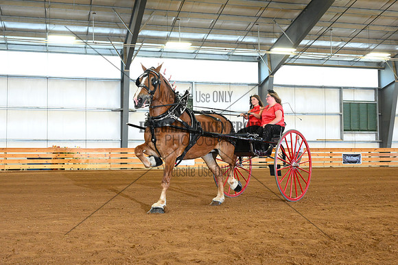 AJB_5992
