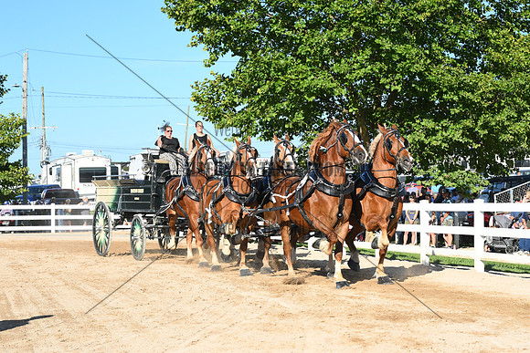 AJB_6407