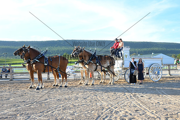 AJB_6578