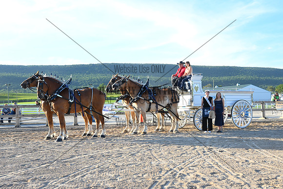 AJB_6577