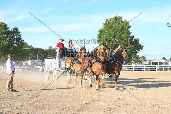 AJB_6558