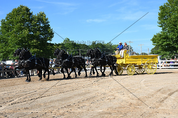 AJB_6307