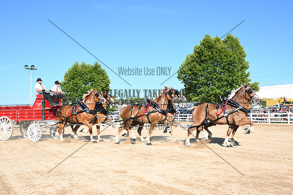 AJB_6318